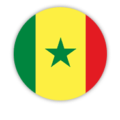 Senegal BSC Certificate